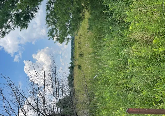 Photo 4 of Land for sale at Vacant Land 2 Wellman Line, Yale, MI 48097 | MLS# 20261057959 | Listing updated on 2026-07-29