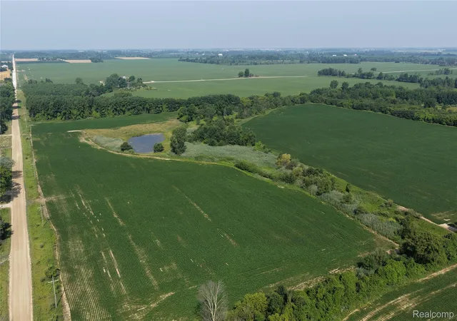 Photo 3 of Land for sale at 000 Custer Rd, Carsonville, MI 48419 | MLS# 20261058268 | Listing updated on 2026-08-27