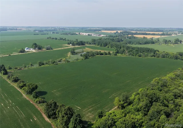 Photo 3 of Land for sale at 000 Custer Rd, Carsonville, MI 48419 | MLS# 20261058268 | Listing updated on 2026-08-27