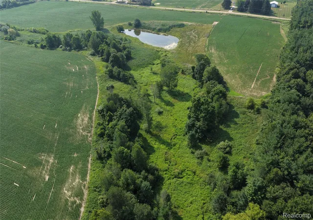 Photo 4 of Land for sale at 000 Custer Rd, Carsonville, MI 48419 | MLS# 20261058268 | Listing updated on 2026-08-27