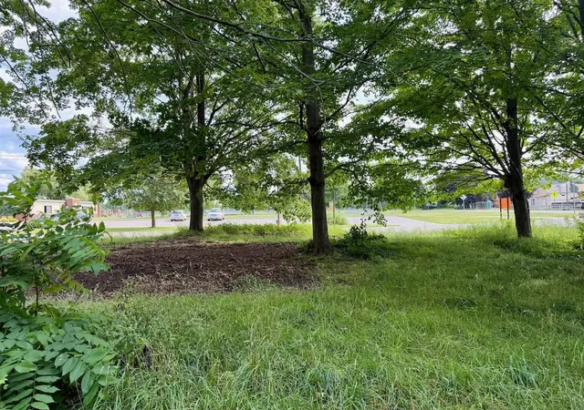 1st image of Lot 30 Buckley, Elk Rapids Township Antrim, MI 49629 | MLS# 78080071550