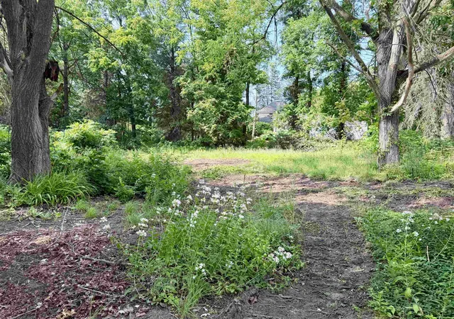 4th image of Lot 30 Buckley, Elk Rapids Township Antrim, MI 49629 | MLS# 78080071550