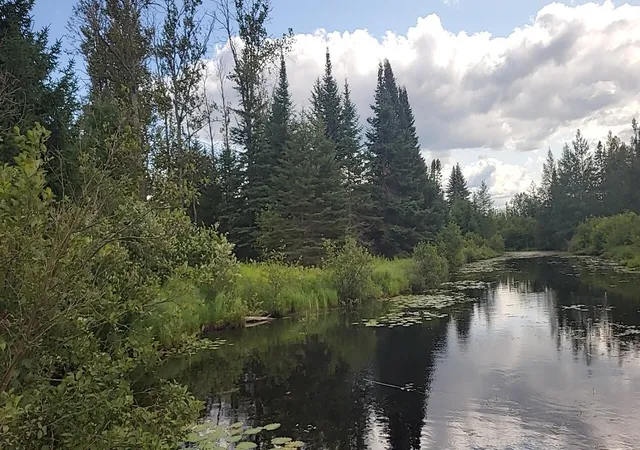 1st image of 1255 Acres Juniper Wy, Grayling Charter Township Crawford, MI 49738 | MLS# 78080071557