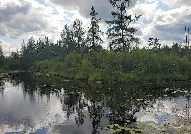 2nd image of 1255 Acres Juniper Wy, Grayling Charter Township Crawford, MI 49738 | MLS# 78080071557