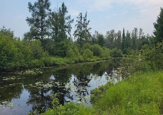 3rd image of 1255 Acres Juniper Wy, Grayling Charter Township Crawford, MI 49738 | MLS# 78080071557