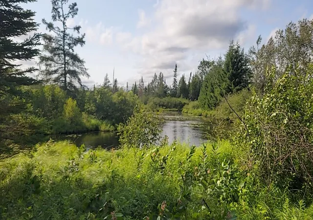 4th image of 1255 Acres Juniper Wy, Grayling Charter Township Crawford, MI 49738 | MLS# 78080071557