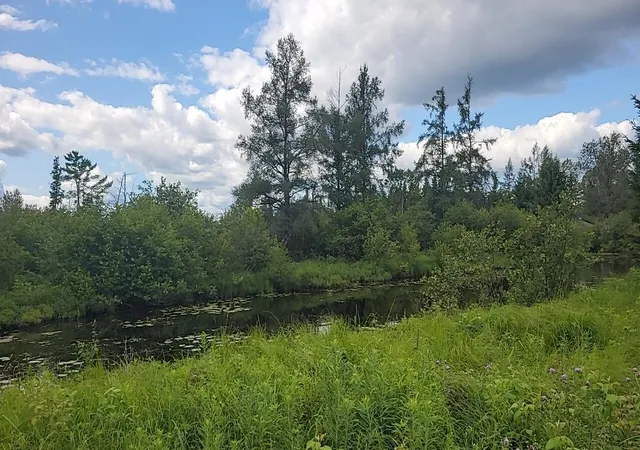 5th image of 1255 Acres Juniper Wy, Grayling Charter Township Crawford, MI 49738 | MLS# 78080071557