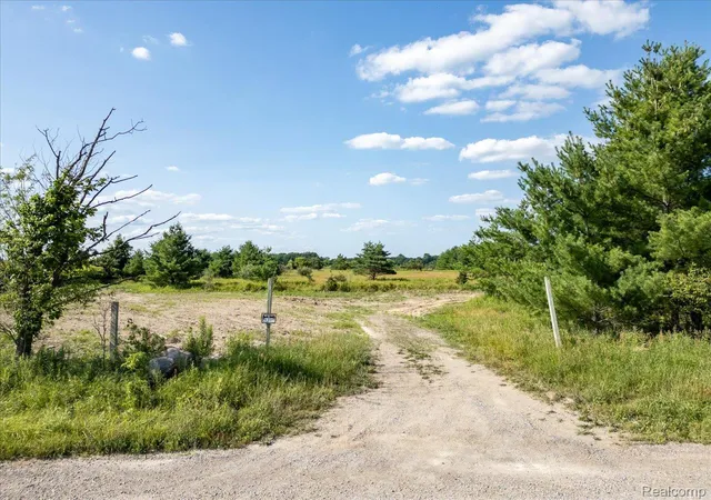 Photo 3 of Land for sale at Vacant Land Wellman Line, Fremont Township Sanilac, MI 48097 | MLS# 20261058345 | Listing updated on 2026-07-29