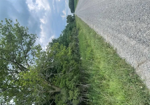 Photo 4 of Land for sale at Vacant Land Wellman Line, Fremont Township Sanilac, MI 48097 | MLS# 20261058345 | Listing updated on 2026-07-29