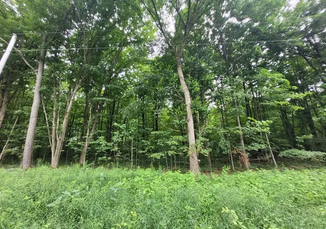 1st image of 0 S 7 1/2 Rd, Harrietta, MI 49638 | MLS# 78080071570