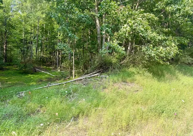 Photo 1 of Land for sale at Tbd River Rd, Lake Isabella Village Isabella, MI 48893 | MLS# 79080071572 | Listing updated on 2026-08-01
