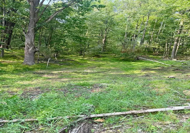 Photo 2 of Land for sale at Tbd River Rd, Lake Isabella Village Isabella, MI 48893 | MLS# 79080071572 | Listing updated on 2026-08-01