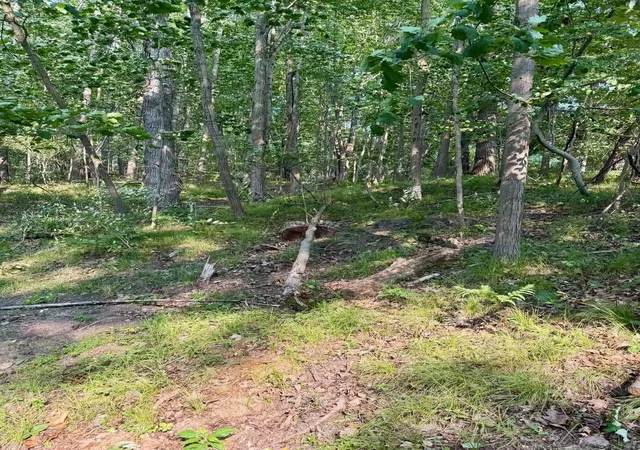Photo 3 of Land for sale at Tbd River Rd, Lake Isabella Village Isabella, MI 48893 | MLS# 79080071572 | Listing updated on 2026-08-01