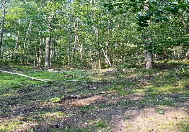 Photo 4 of Land for sale at Tbd River Rd, Lake Isabella Village Isabella, MI 48893 | MLS# 79080071572 | Listing updated on 2026-08-01