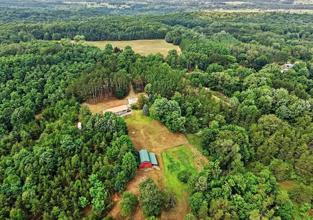 46th image of 17685 Meceola Rd, Mecosta Township Mecosta, MI 48639 | MLS# 79080071573