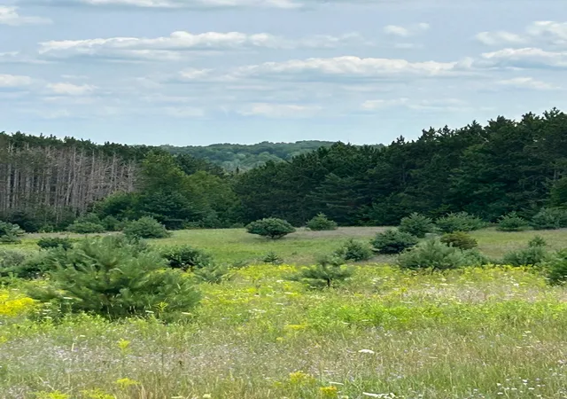 Photo 2 of Land for sale at Markenwood Ln, Williamsburg, MI 49690 | MLS# 78080071576 | Listing updated on 2026-08-03