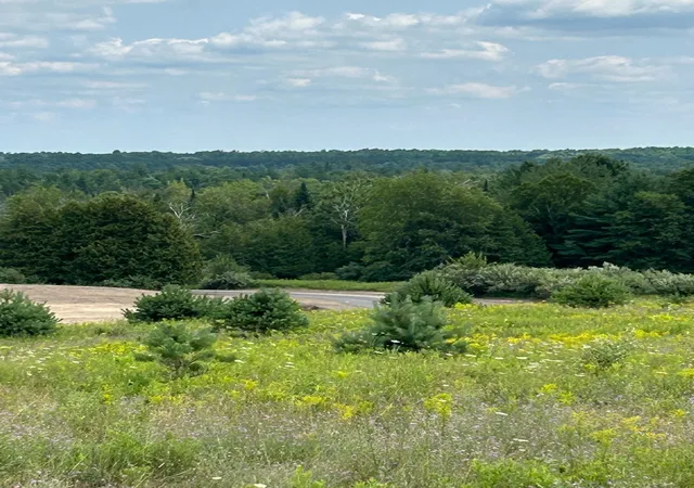 Photo 3 of Land for sale at Markenwood Ln, Williamsburg, MI 49690 | MLS# 78080071576 | Listing updated on 2026-08-03