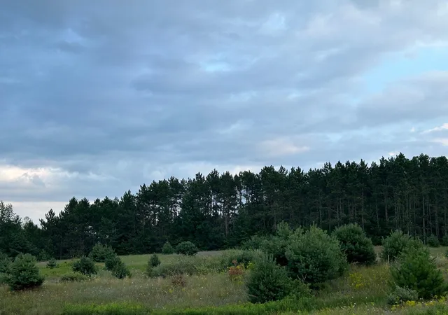 Photo 4 of Land for sale at Markenwood Ln, Williamsburg, MI 49690 | MLS# 78080071576 | Listing updated on 2026-08-03