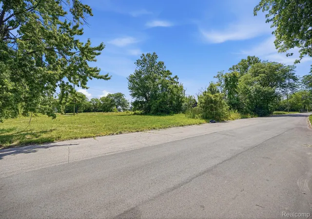 Photo 4 of Land for sale at 502 Concord St, Detroit, MI 48207 | MLS# 20261058693 | Listing updated on 2026-07-30