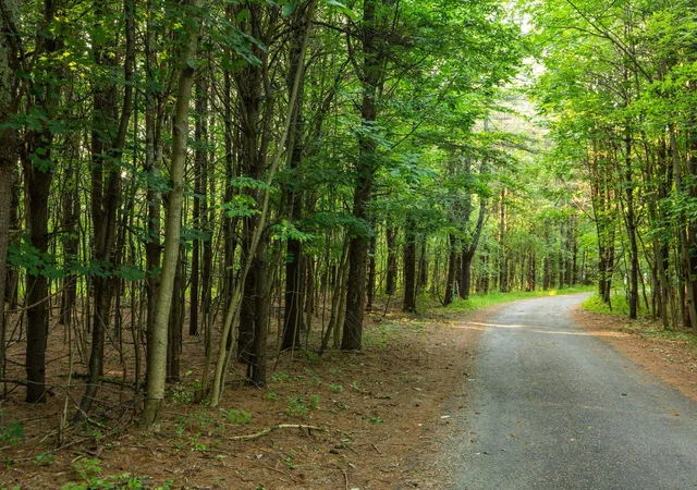 Photo 4 of Land for sale at Parcel N 13 Vincer Way, Northport, MI 49670 | MLS# 78080071621 | Listing updated on 2026-07-31