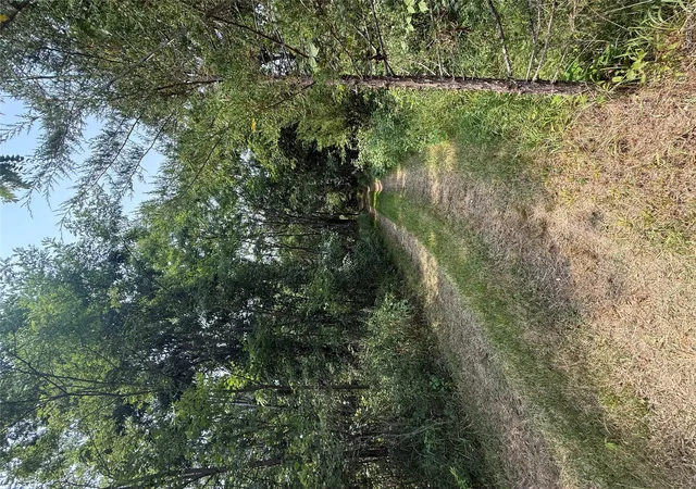 Photo 2 of Land for sale at No N Byron, Howell Township Livingston, MI 48855 | MLS# 20261058802 | Listing updated on 2026-09-11