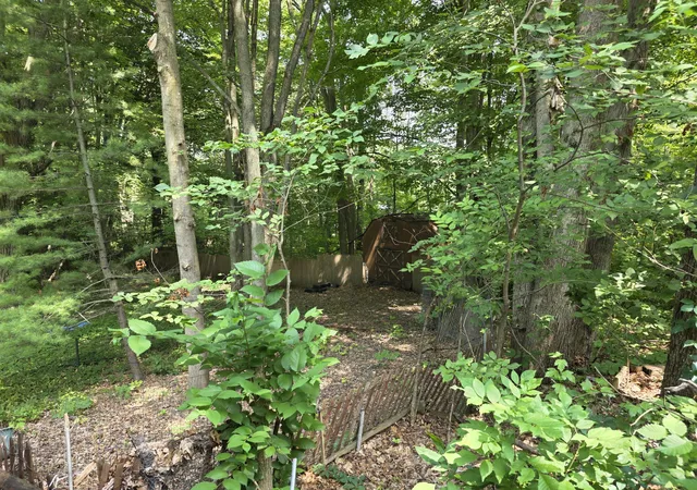 Photo 3 of Single family home for sale at 22270 W Kendaville Rd, Pierson, MI 49339 | MLS# 72026038986 | Listing updated on 2026-09-01