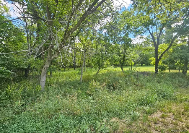 Photo 3 of Land for sale at O Byron Rd, Cohoctah Township Livingston, MI 48836 | MLS# 20261058845 | Listing updated on 2026-09-08