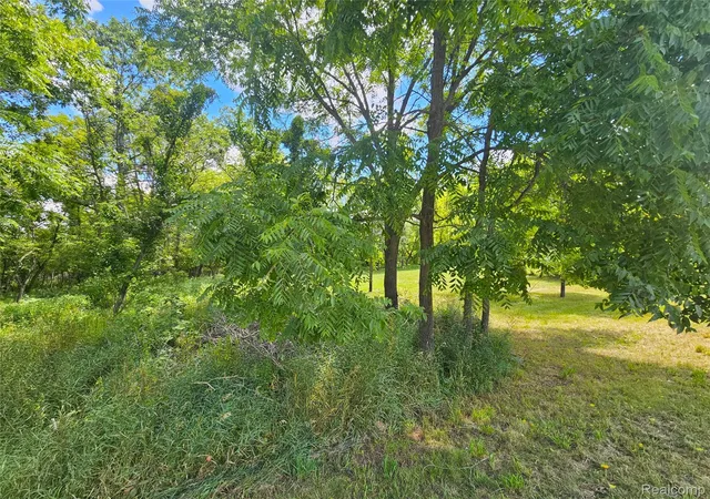 Photo 4 of Land for sale at O Byron Rd, Cohoctah Township Livingston, MI 48836 | MLS# 20261058845 | Listing updated on 2026-09-08