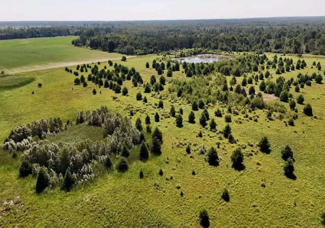 4th image of 1824 W Bessinger Rd, Turner, MI 48765 | MLS# 68026039021