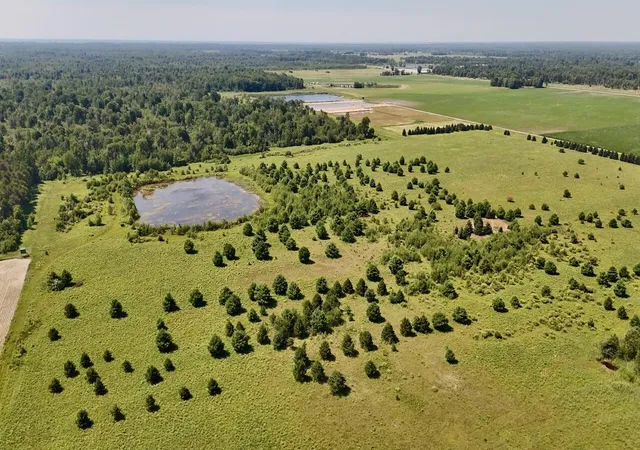 5th image of 1824 W Bessinger Rd, Turner, MI 48765 | MLS# 68026039021