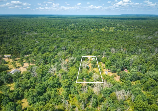 20th image of 10130 N Brooks Rd, Irons, MI 49644 | MLS# 72026039066