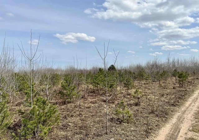 23rd image of 00 39 Rd, Cadillac, MI 49601 | MLS# 78080071646