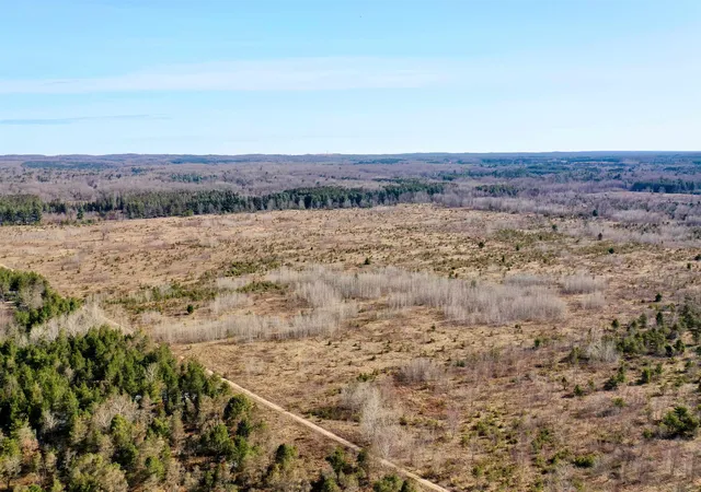 Photo 3 of Land for sale at 00 39 Road, Cadillac, MI 49601 | MLS# 78080071646 | Listing updated on 2026-08-01