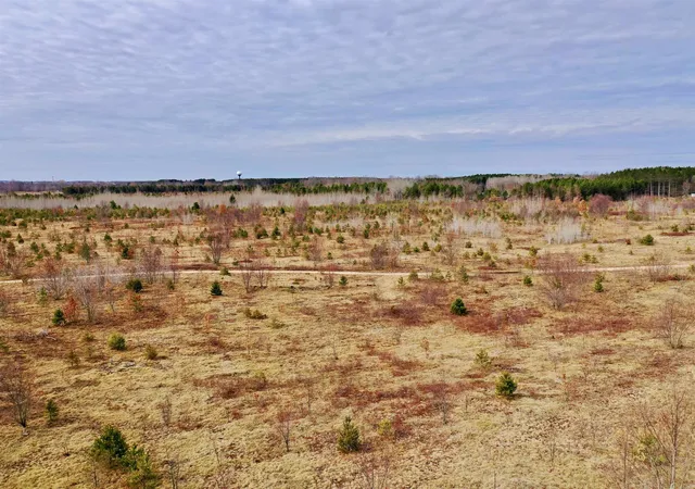 Photo 3 of Land for sale at 00 39 Road, Cadillac, MI 49601 | MLS# 78080071646 | Listing updated on 2026-08-01