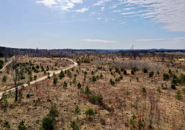Photo 4 of Land for sale at 00 39 Road, Cadillac, MI 49601 | MLS# 78080071646 | Listing updated on 2026-08-01