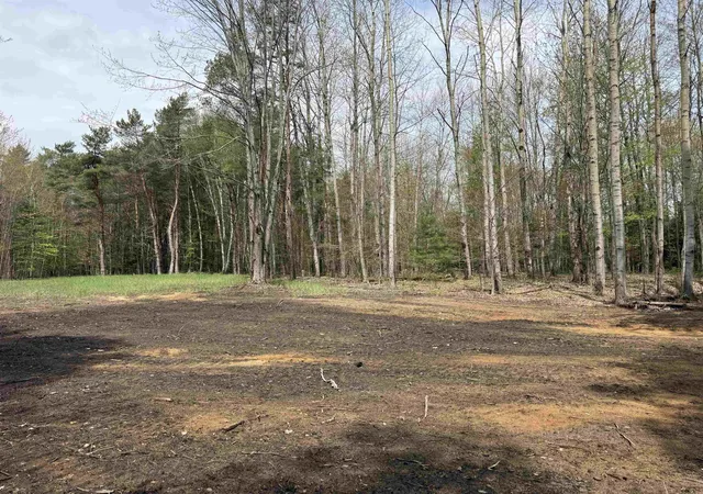 Photo 4 of Land for sale at 6639 Fall Rd, Grawn, MI 49637 | MLS# 78080071660 | Listing updated on 2026-09-03