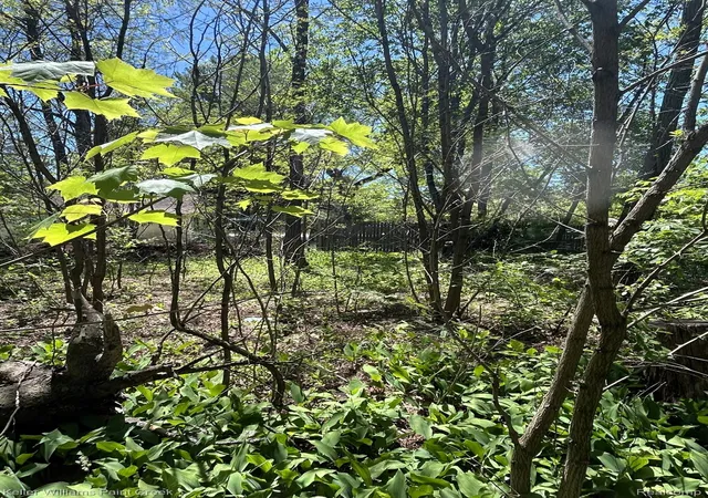 Land for sale at 0 Van St, Prescott, MI 48756 | MLS# 20261059171