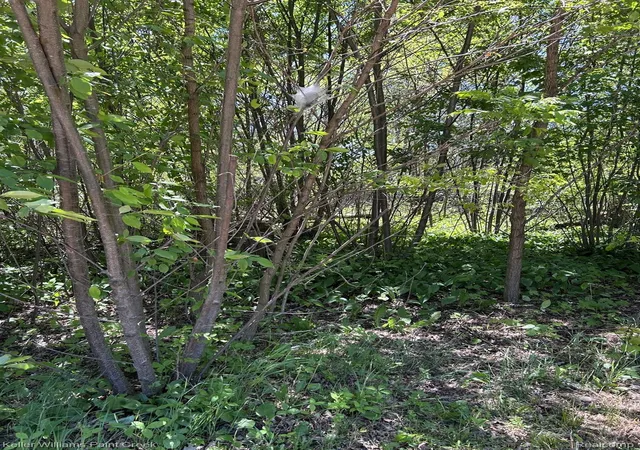 Photo 2 of Land for sale at 0 Van St, Prescott, MI 48756 | MLS# 20261059171 | Listing updated on 2026-07-29