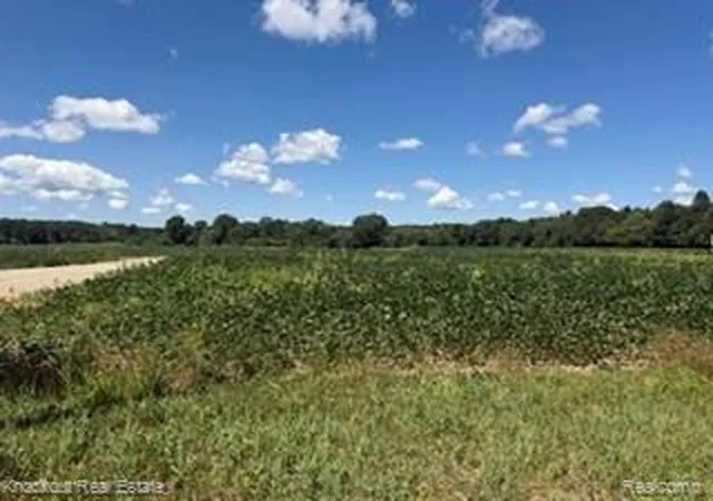 Photo 1 of Land for sale at Vl N Seymour, Flushing, MI 48433 | MLS# 20261059181 | Listing updated on 2026-07-31