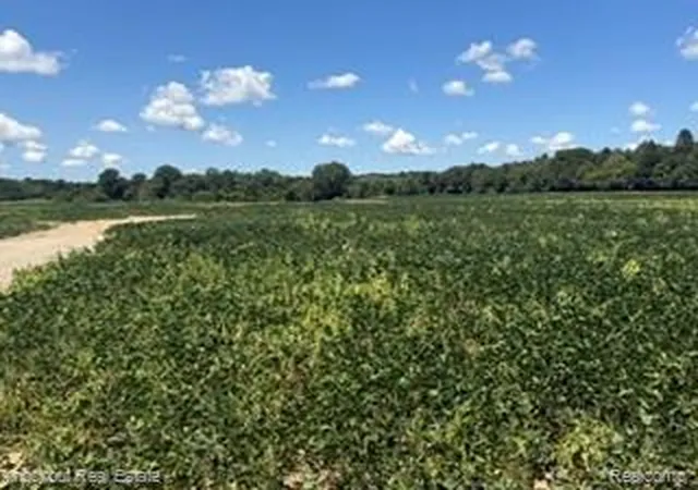 Photo 2 of Land for sale at Vl N Seymour, Flushing, MI 48433 | MLS# 20261059181 | Listing updated on 2026-07-31