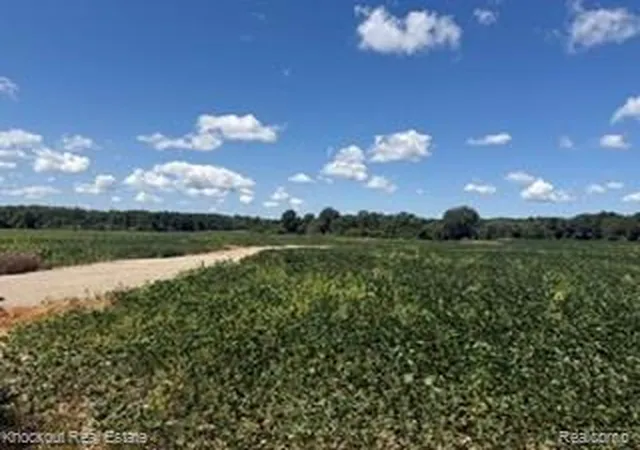 Photo 3 of Land for sale at Vl N Seymour, Flushing, MI 48433 | MLS# 20261059181 | Listing updated on 2026-07-31
