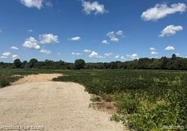Photo 4 of Land for sale at Vl N Seymour, Flushing, MI 48433 | MLS# 20261059181 | Listing updated on 2026-07-31