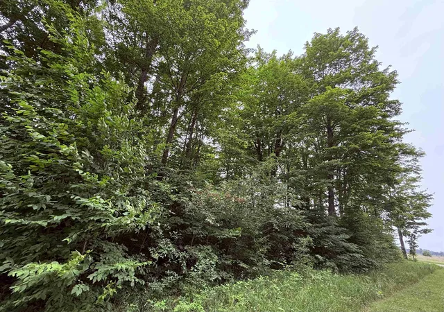 Photo 4 of Land for sale at 549 Kleehammer Clb Dr, Kalkaska, MI 49646 | MLS# 78080071668 | Listing updated on 2026-08-01
