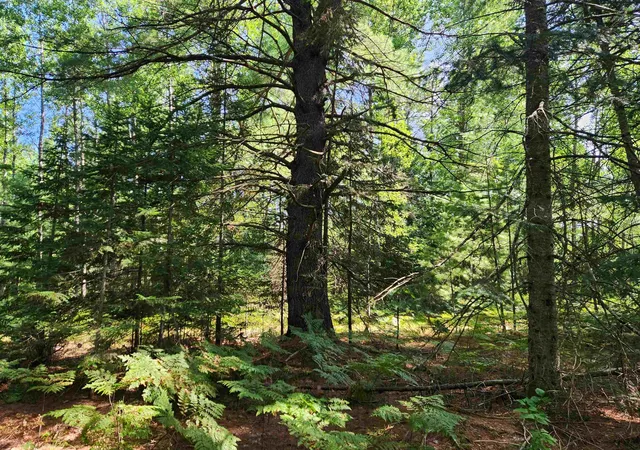 Photo 1 of Land for sale at 10 Acres Christie Dr, Orange Township Kalkaska, MI 49646 | MLS# 78080071669 | Listing updated on 2026-09-14