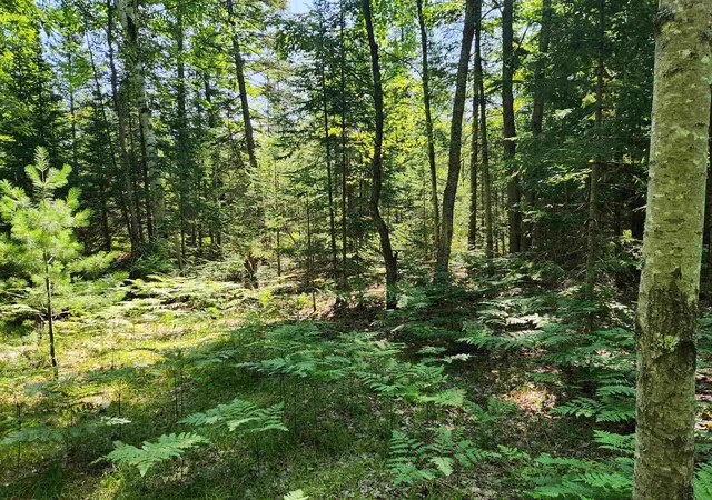 Photo 4 of Land for sale at 10 Acres Christie Dr, Orange Township Kalkaska, MI 49646 | MLS# 78080071669 | Listing updated on 2026-09-14