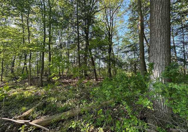 65th image of 4233 State Rd, Fort Gratiot, MI 48059 | MLS# 20261059240