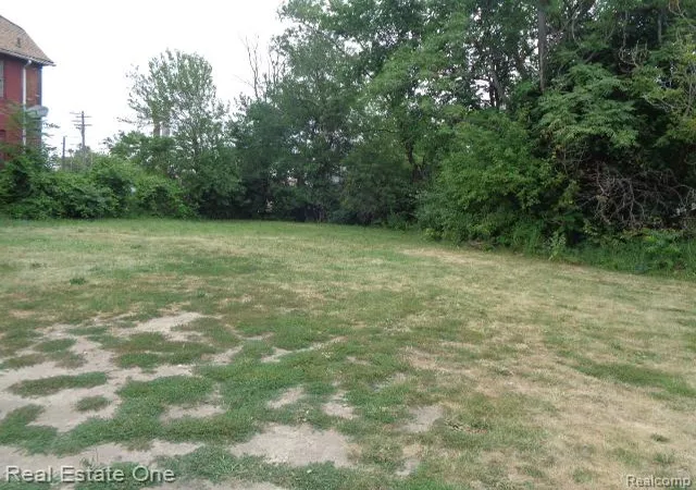 Photo 3 of Land for sale at 6214 Rosa Parks Blvd, Detroit, MI 48208 | MLS# 20261059245 | Listing updated on 2026-08-03
