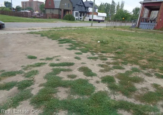 Photo 4 of Land for sale at 6214 Rosa Parks Blvd, Detroit, MI 48208 | MLS# 20261059245 | Listing updated on 2026-08-03