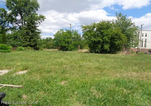 Photo 4 of Land for sale at 3348 15th Street, Detroit, MI 48208 | MLS# 20261059255 | Listing updated on 2026-08-03