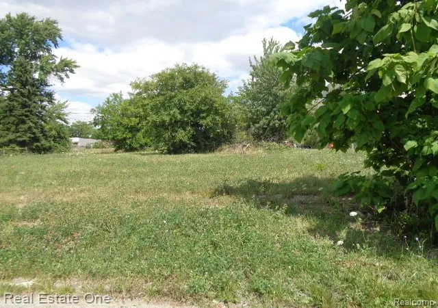 Photo 2 of Land for sale at 3354 15th Street, Detroit, MI 48208 | MLS# 20261059257 | Listing updated on 2026-08-03